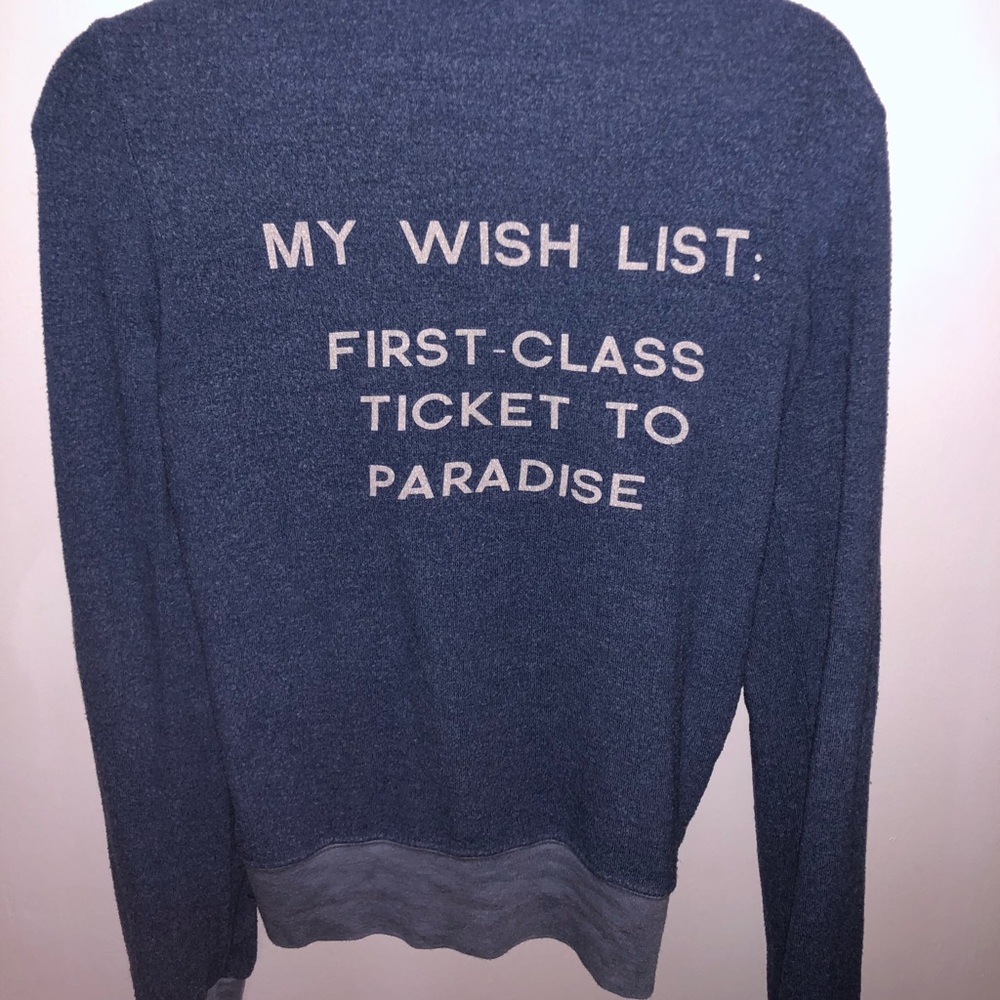 Wildfox hoodie, light blue